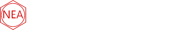 Northeast Aerospace Logo